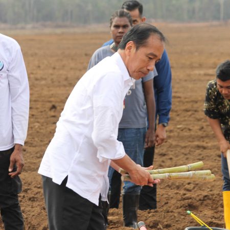 Sermayam, 24 Juli 2024 — Presiden Republik Indonesia Joko Widodo (Jokowi) bersama Ibu Negara Iriana Joko Widodo melakukan penanaman tebu perdana di perkebunan PT Global Papua Abadi, Sermayam, Merauke, Papua Selatan. Kegiatan ini menjadi langkah strategis dalam memperkuat ketahanan pangan nasional di tengah tantangan krisis pangan global akibat perubahan iklim ekstrem.