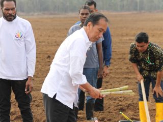 PENANAMAN TEBU PERDANA, PRESIDEN: PEMERINTAH FOKUS KEMBANGKAN KETAHANAN PANGAN
