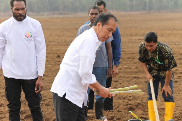 PENANAMAN TEBU PERDANA, PRESIDEN: PEMERINTAH FOKUS KEMBANGKAN KETAHANAN PANGAN